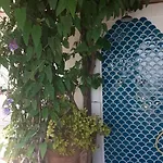 Apartment Casa Pimpinella Mediterranean Positano