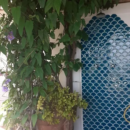 아파트 Casa Pimpinella Mediterranean 포지타노